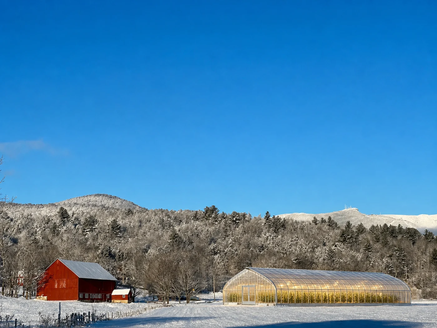 Winter Stonybrook scene with a greenhouse grow in the meadow